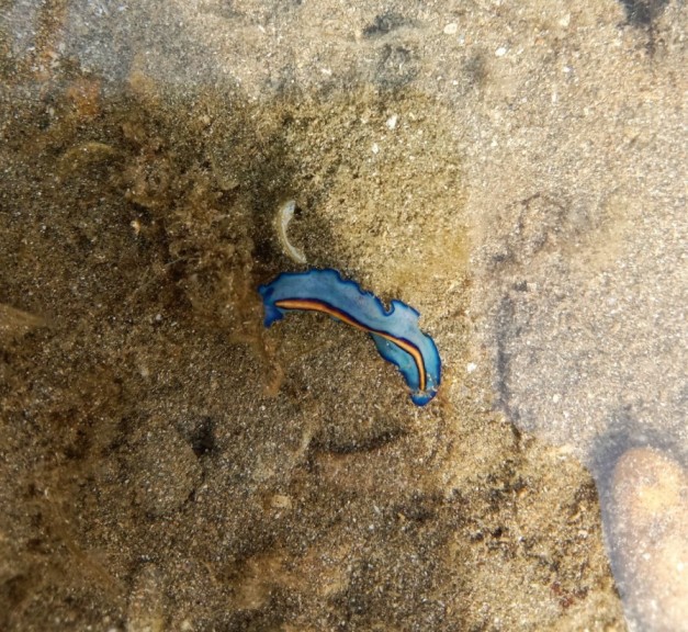 Beach Walking Desaru